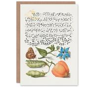 Artery8 Model Book of Calligraphy Art Card Talewort Pea and Lantern Plant