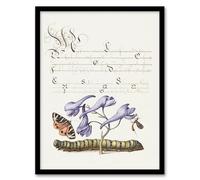 Artery8 Model Book of Calligraphy Butterfly Caterpillar and Flower Framed Wall Art Print Home Décor A4