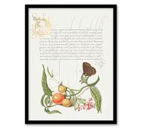Artery8 Model Book of Calligraphy Butterfly Cherries and Milkwort Framed Wall Art Print Home Décor A3