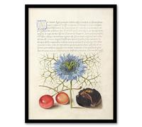 Artery8 Model Book of Calligraphy Love in a Mist and Cherries Framed Wall Art Print Home Décor A3