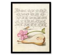 Artery8 Model Book of Calligraphy Mayfly Red Campion and Pear Framed Wall Art Print Home Décor A4