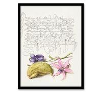 Artery8 Model Book of Calligraphy Violet Blooms and Gourd Framed Wall Art Print Home Décor A3