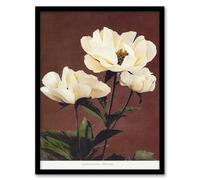 Artery8 Ogawa Kazumasa White Herbaceous Peony Flowers Framed Wall Art Print Home Décor A4