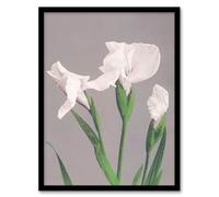 Artery8 Ogawa Kazumasa White Irises Blooming Flowers Framed Wall Art Print Home Décor A4
