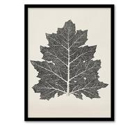 Artery8 Owen Jones Vintage Black and White Leaf Drawing Framed Wall Art Print Home Décor A4