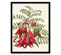Artery8 Sarah Featon New Zealand Kaka Beak Plant Flowers Framed Wall Art Print Home Décor A3