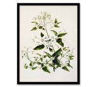 Artery8 Sarah Featon New Zealand Pikiarero White Clematis Flowers Framed Wall Art Print Home Décor A3
