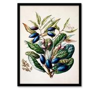 Artery8 Sarah Featon New Zealand Taraire Fruit Branch Framed Wall Art Print Home Décor A4