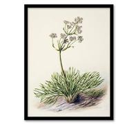 Artery8 Sarah Featon New Zealand Wild Spaniard Flower Framed Wall Art Print Home Décor A3