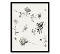 Artery8 Theo van Hoytema Flowers Leaves and Butterfly Drawing Framed Wall Art Print Home Décor A3