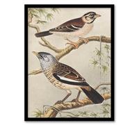 Artery8 Theo van Hoytema Two Birds on Tree Branches Framed Wall Art Print Home Décor A4