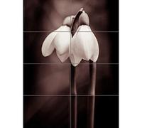 Artery8 Two Snowdrops Photograph XL Giant Panel Poster (8 Sections) Nieve Fotografía Póster