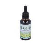 Artesanía Agrícola Extracto de Castaño de Indias Maese Herbario 50 ml - Pack de 2 (100 ml Totales)