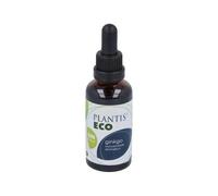 Artesanía Agrícola Extracto de Ginkgo Biloba Sin Alcohol 50 ml - Pack de 2 (100 ml Totales)