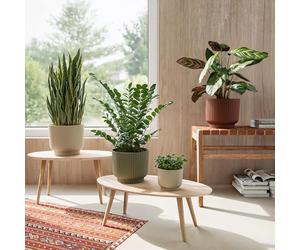 Artevasi Miami Flower - Maceta Decorativa Moderna de plástico Reciclado con Acabado Mate, 16 cm, Color Blanco y Verde
