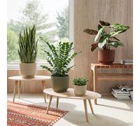 Artevasi Miami Flower - Maceta Decorativa Moderna de plástico Reciclado con Acabado Mate, 20 cm, Color Blanco y Verde