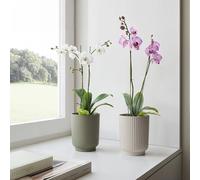 Artevasi Miami Wave - Maceta Decorativa de 12,5 cm, Color Blanco y Verde, con diseño Ondulado y Superficie Mate de plástico Reciclado, Ideal para orquídeas, 12,5 cm