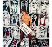 Joseph Arthur You're Not a Ghost (Vinyl) (Importación USA) (PRESALE 04/09/2026)