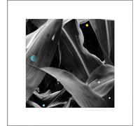 Arthur King - Cambio De Landscapes (Wauters Farm) [LP]