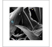 Arthur King - Changing Landscapes (Wauters Farm) [Vinilo]