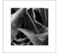 Arthur King - Changing Landscapes (Wauters Farm) [Vinilo]