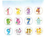 Artibetter 12 Piezas Pegatinas Del Mes Para Bebés Logros De Recién Nacido Decoración De Belly Monthly Stickers Pegatinas Mensuales Para Bebés