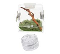 Artibetter Caja De Hábitat para Araña Saltadora Transparente con Humidificador, Caja Pequeña con Lámpara Led para Alimentación y Cuidado, Adecuado para Mascotas y Terrarios Domésticos