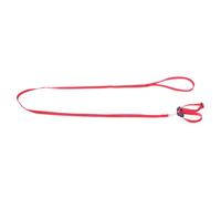 Artibetter en Forma de 8 para Pájaros y Hámsters de Poliéster Práctica y para Evitar Pérdida de Color Rojo en Exteriores y Hogar