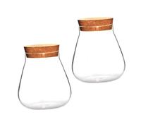 ARTIBETTER Jarrón Micropaisaje y Frasco Transparente Sellado para Decoración en Dormitorio, Botella Ecológica con Tapa de Corcho, Diseño Seguro y Superficie Lisa