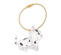 Artibetter Llavero Conmemorativo para Pelo de Gato Caja Transparente para Guardar Restos de Mascota Cápsula Portátil para Almacenamiento de Pelo Recuerdo Kawaii Adecuado para Viaje y Uso