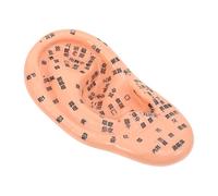 ARTIBETTER Modelo de Oreja Material Pvc Resistente para Acupuntura y Masaje Tabla Detallada de Puntos Chinos para Formación y Enseñanza en Aurículas en Aurículas