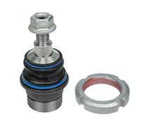 Pivote del brazo de control Eje trasero, derecha 016 010 0006/HD MEYLE