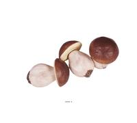 Artif-Deco-mag.com - Bolets artificiales en lote de 3 de plástico soplado H 100x65 mm