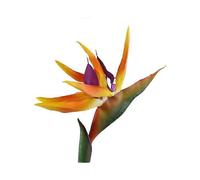 Artificial bird of paradise flowers, 20cm flower heads, suitable for various scene decorations