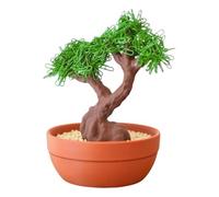 Artificial Bonsai - Fake Desk Decor Storage Box for Rotating Multi-Functional, Paper Clip Holder with Compact Organization, Workplace Supplies for Birthday, Apartment, 5.91x5.91x5.91 Inches