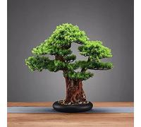 Artificial Bonsai House In Black Round Pot For Desk Zen Decor(A)