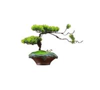 Artificial Bonsai Tree Faux Small For Office with Ceramic Pot