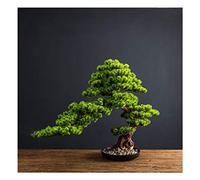 Artificial Bonsai Tree Simulación de Planta Verde Big Bonsai Bonda de Bienvenida Pino Falso Jardín Interior de la Oficina en el hogar Decoración de Escritorio Simulación del árbol Adornados Bonsai
