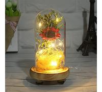 Artificial Flowers Eternal Rose LED Light Beauty The in Glass Cover Decoration for Home Birthday Festival Gifts (Color : Red) (Rose Red)
