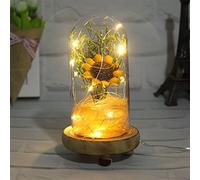 Artificial Flowers Eternal Rose LED Light Beauty The in Glass Cover Decoration for Home Birthday Festival Gifts (Color : Red) (Yellow)