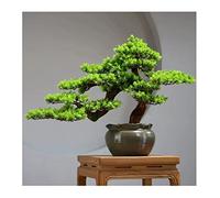 Artificial Indoor Bonsai Tree Chinese-Style Ceramic Pot Multicolor(C)