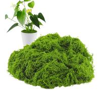 Artificial Moss For Plants - 12.20 Inches Decorative Greenery | Faux Garden Filler Decor - Lightweight ABS Moss For Vases Terrariums Weddings Home Wall Holiday Displays Wedding Planter Succulents