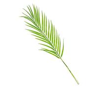 Artificial Palm Leaves - Tropical Plant Decor, Faux Palm Fronds, Simulation Tropical Plant Decor for Home Garden Patio Balcony Wedding Party Indoor Outdoor Farmhouse Decoration Greenery Decoration