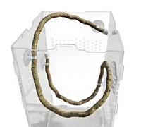 Artificial Reptile Vine - Bendable Climbing Accessory, Suction Cup Tank Decoration, Terrarium Habitat Enrichment | Suitable for Geckos Lizards Home Cage Enclosure Reptiles Climbings Decorative Setup