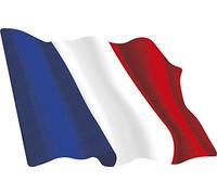 Artimagen Pegatina Bandera Ondeante Francia Grande 120x80 mm.