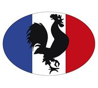 Artimagen Pegatina Bandera Oval Gallo Francia 80x60 mm.