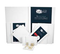 Artina Set de 14 Lienzos con Bastidor FSC Akademie - Artículo de Pintura - lienzos Blancos para Pintar de algodón - 50x70 cm, 30x40 cm, 24x30 cm, 13x18 cm - 100% Algodón 280g/m²