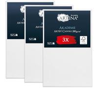 Artina Set de 3 Lienzos para Pintar con Bastidores de Madera FSC® Canvas | 50x80cm blanco 100% algodón tela para Lienzo entelados rectangulares material bellas artes Akademie