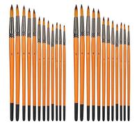 Artist Brushes Set Professional Watercolor Painting Brush Double Color Nylon Wool Elastic Gloss Art Painting Tool for Students Artists Oil Gouache Acrylic Painting 24 Pieces