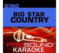 Artist Not Provided - Sing Big Star Country
